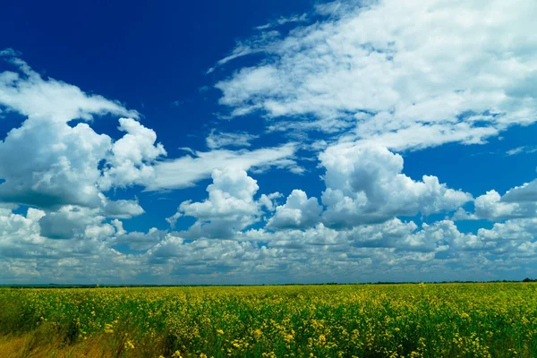 Campo Colza Cielo Nublado Día Soleado Brillante Tierra Agrícola Hermoso — Foto de Stock