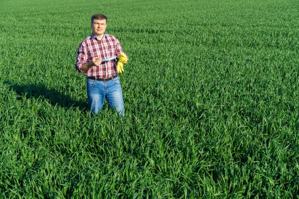 Bir Adam Tarlada Ekose Gömlek Kot Pantolon Giymiş Koruyucu Yüz — Stok fotoğraf