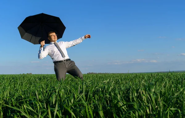 사업가는 들판에서 우산을 포즈를 취합니다 넘어지고 있습니다 위기와 잔디와 하늘을 — 스톡 사진