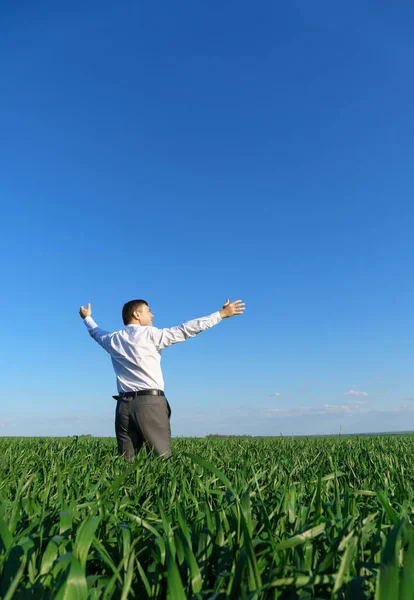 Businessman Poses Field Looks Distance Rests Green Grass Blue Sky — Stock Photo, Image