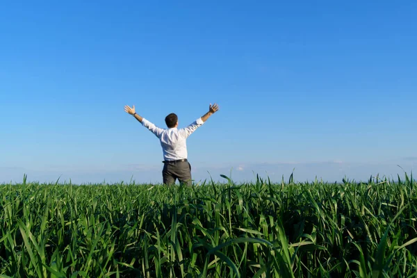 Zakenman Poseert Een Veld Kijkt Hij Verte Rust Groen Gras — Stockfoto