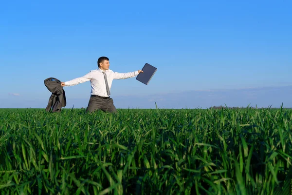 Businessman Works Green Field Freelance Business Concept Green Grass Blue — Stock Photo, Image
