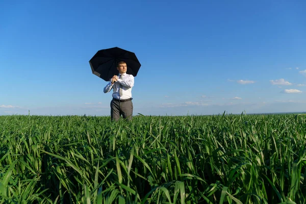 Empresário Posa Com Guarda Chuva Campo Grama Verde Céu Azul — Fotografia de Stock