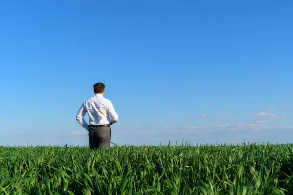 Бизнесмен Позирует Поле Смотрит Вдаль Отдыхает Зеленая Трава Голубое Небо — стоковое фото
