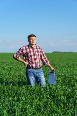 Çiftçi kılığında bir adam, ekose gömlek ve kot giymiş bir şekilde tarlada poz verir, genç lahanaları, buğday, arpa, çavdar veya diğer mısır gevreklerini, tarım ve tarım kavramını kontrol eder ve inceler.