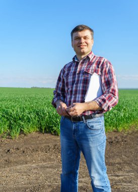 Çiftçi kılığında bir adam, ekose gömlek ve kot giymiş bir şekilde tarlada poz verir, genç lahanaları, buğday, arpa, çavdar veya diğer mısır gevreklerini, tarım ve tarım kavramını kontrol eder ve inceler.