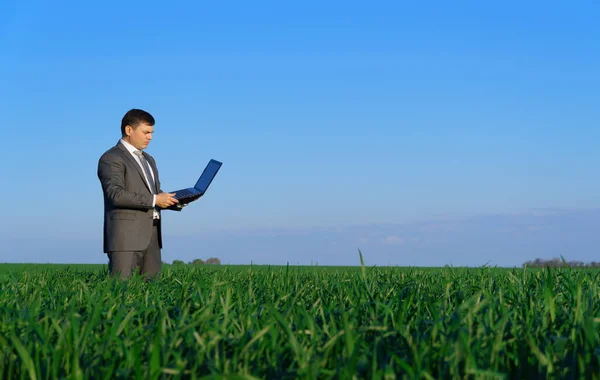 Businessman Works Green Field Freelance Business Concept Green Grass Blue Stock Picture