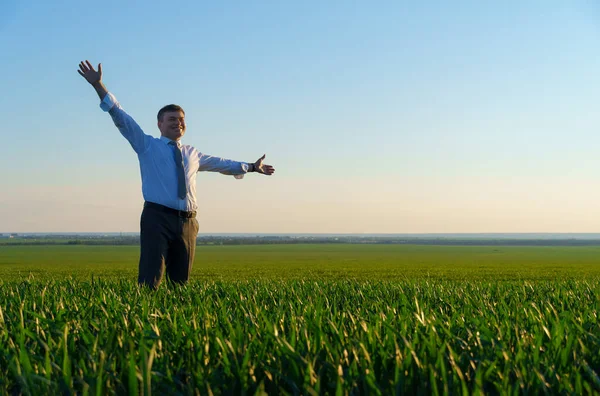 Hombre Negocios Posa Campo Verde Freelance Concepto Negocio Hierba Verde —  Fotos de Stock