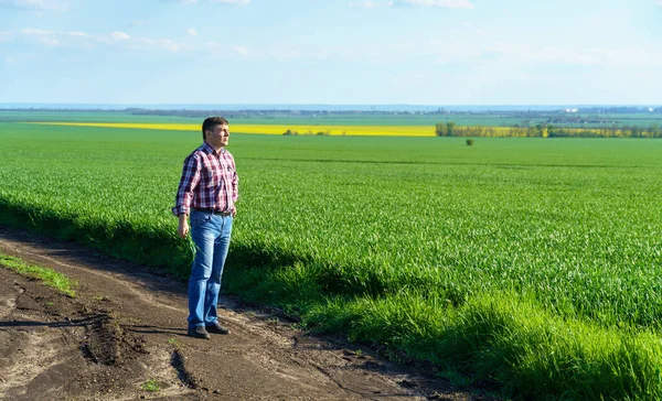 Чоловік Фермер Ходить Полю Одягнений Плетену Сорочку Джинси Перевіряє Оглядає — стокове фото