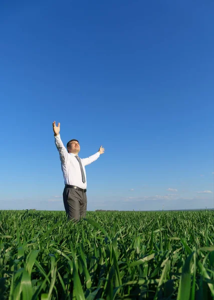 Geschäftsmann Posiert Auf Einem Feld Blickt Die Ferne Und Ruht — Stockfoto