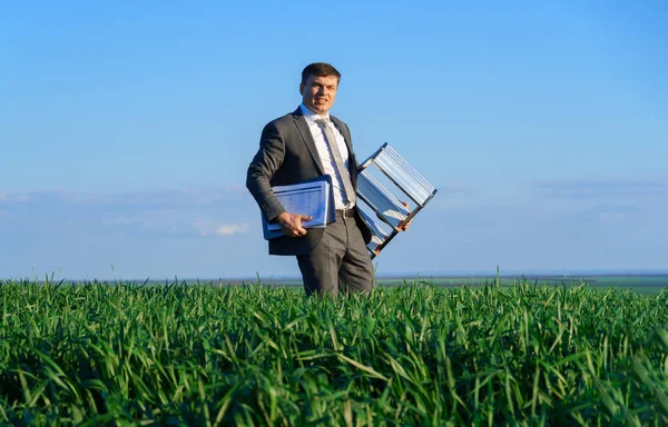 Businessman Poses Green Field Goes Documents Ladder Freelance Business Concept Royalty Free Stock Images