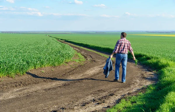 Homem Como Agricultor Que Caminha Longo Campo Vestido Com Uma — Fotografia de Stock