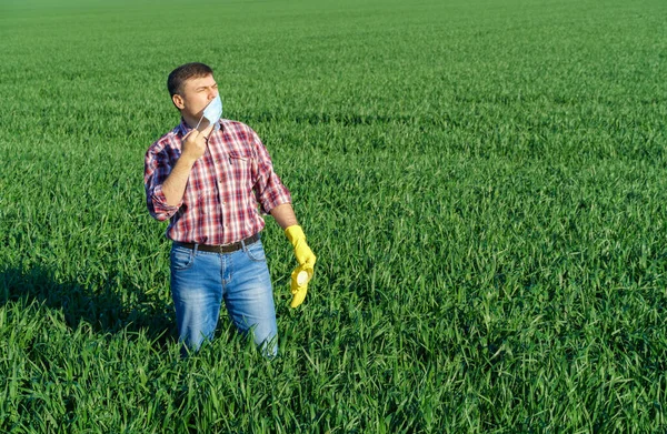 농부로서 경기장에 나가서 얼굴을 마스크 무장갑을 곡류의 검사하고 검사한다 — 스톡 사진