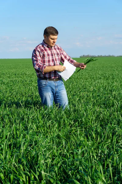 Hombre Como Agricultor Posa Campo Vestido Con Una Camisa Cuadros —  Fotos de Stock