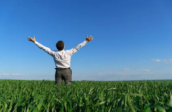 Zakenman Poseert Een Veld Kijkt Hij Verte Rust Groen Gras — Stockfoto