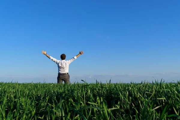 Geschäftsmann Posiert Auf Einem Feld Blickt Die Ferne Und Ruht — Stockfoto