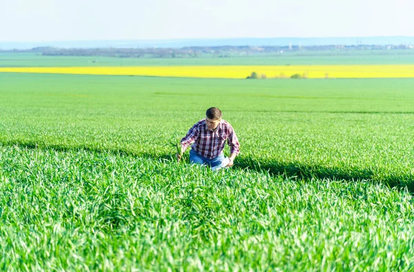 Homem Como Agricultor Que Caminha Longo Campo Vestido Com Uma — Fotografia de Stock