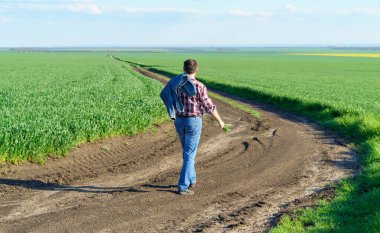 Bir çiftçi olarak tarlada ekose gömlek ve kot giymiş, buğday, arpa, çavdar ya da diğer mısır gevreklerinden oluşan taze lahanaları denetliyor ve denetliyor, bir tarım ve tarım kavramı.