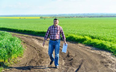Çiftçi kılığında bir adam, ekose gömlek ve kot giymiş bir şekilde tarlada poz verir, genç lahanaları, buğday, arpa, çavdar veya diğer mısır gevreklerini, tarım ve tarım kavramını kontrol eder ve inceler.