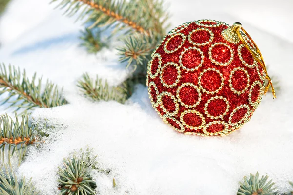 Bola roja de Navidad en el árbol de invierno con nieve — Foto de Stock