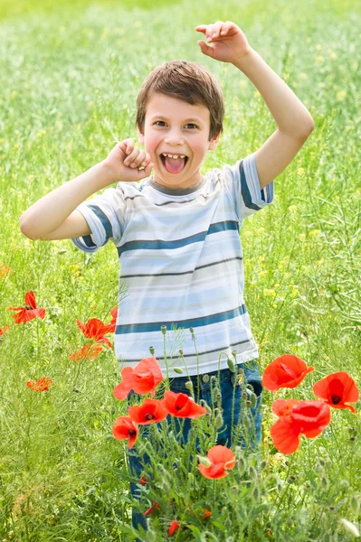 Jongen in rode bloem poppy weide veel plezier — Stockfoto