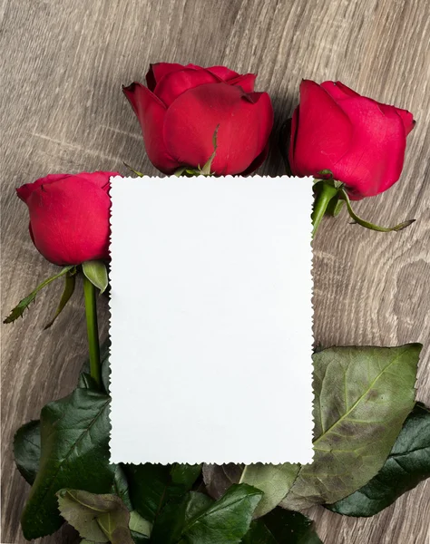 Rose rosse e foglio bianco su legno — Foto Stock