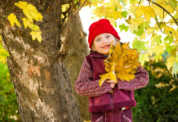 Kleines Mädchen im Herbstpark — Stockfoto