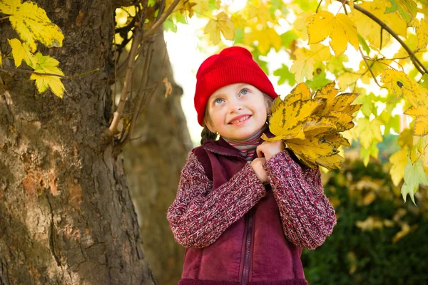 Bambina nel parco autunnale — Foto Stock