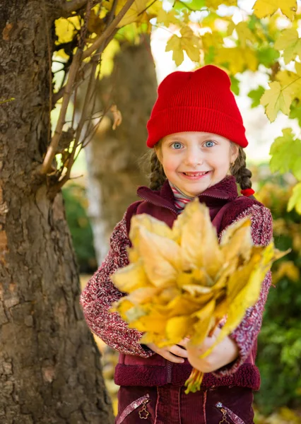 Dziewczynka w jesiennym parku — Zdjęcie stockowe
