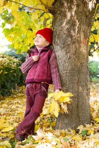 Sonbahar parkında küçük bir kız — Stok fotoğraf