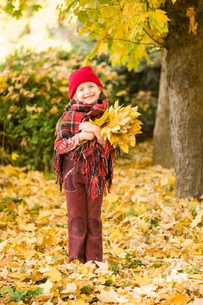 Klein meisje in de herfst park — Stockfoto