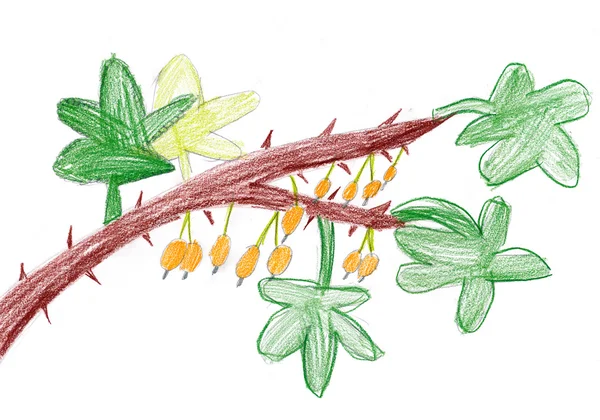 Жовті ягоди на гілці. дитячий малюнок — стокове фото