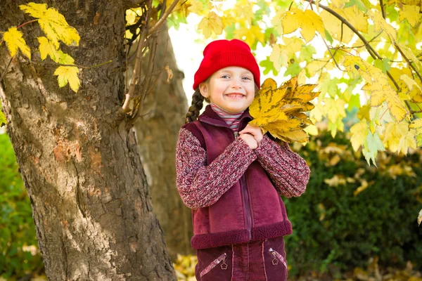 Klein meisje in de herfst park — Stockfoto