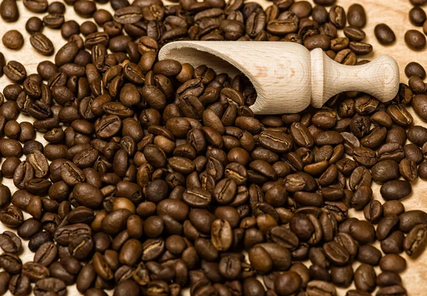 Coffee seeds with wooden shovel on wood background — Stock Photo, Image