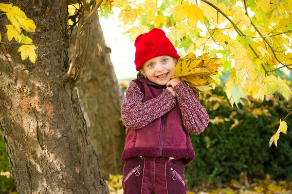 Bambina nel parco autunnale — Foto Stock