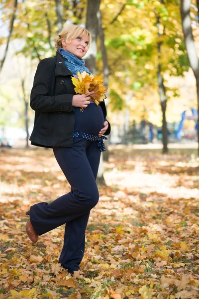 Mulher grávida no parque de outono — Fotografia de Stock