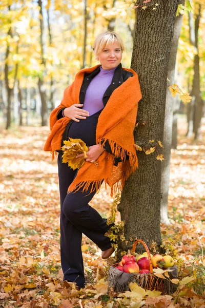 Pregnant woman in autumn park — Stock Photo, Image