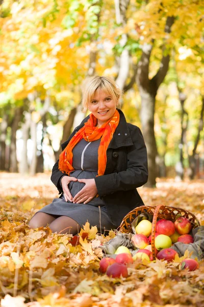 Mujer embarazada en el parque de otoño —  Fotos de Stock