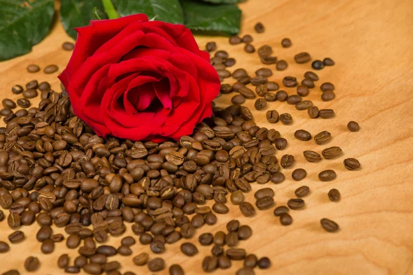 Kahve çekirdeği ve ahşap arka plan üzerinde kırmızı gül — Stok fotoğraf