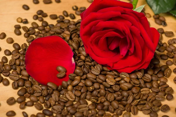 Red rose on coffee seeds and wooden background — Stock Photo, Image