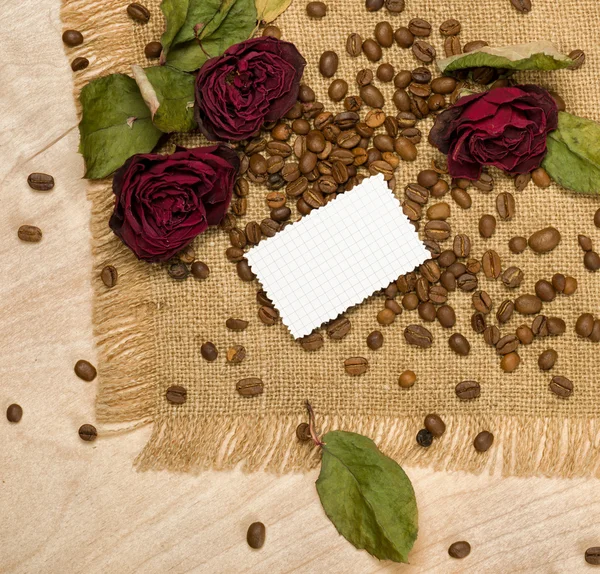 Pusty arkusz i suche czerwone róże na nasiona kawy — Zdjęcie stockowe