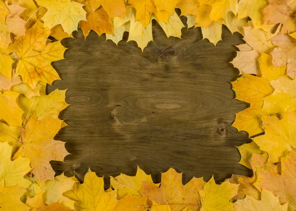Рамка з жовтого кленового листя на дерев'яному фоні — стокове фото