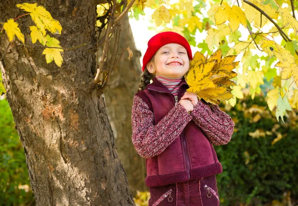 Little girl in autumn park — Stock Photo, Image