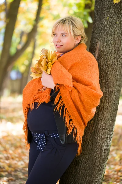 Kobieta w ciąży w parku jesień — Zdjęcie stockowe