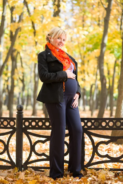 Pregnant woman in autumn park — Stock Photo, Image