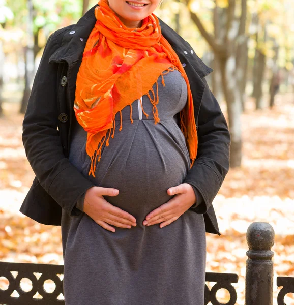 Pregnant woman in autumn park — Stock Photo, Image