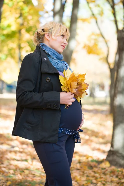 Pregnant woman in autumn park — Stock Photo, Image