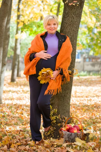 Mujer embarazada en el parque de otoño — Foto de Stock