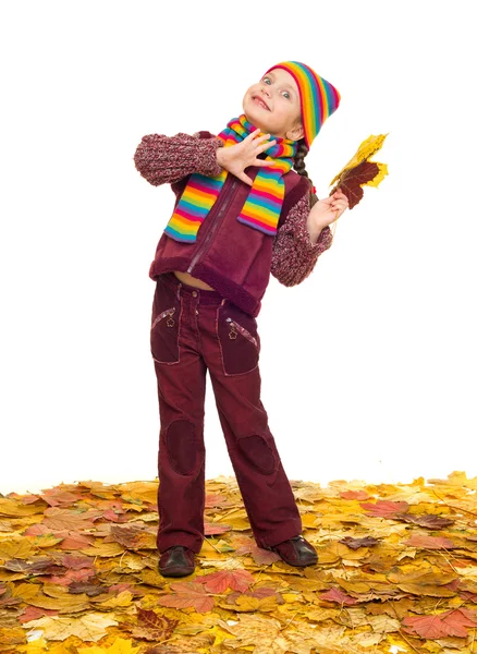 Girl on autumn leaves studio shoot — Stock Photo, Image