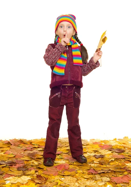 Chica en otoño hojas estudio disparar — Foto de Stock